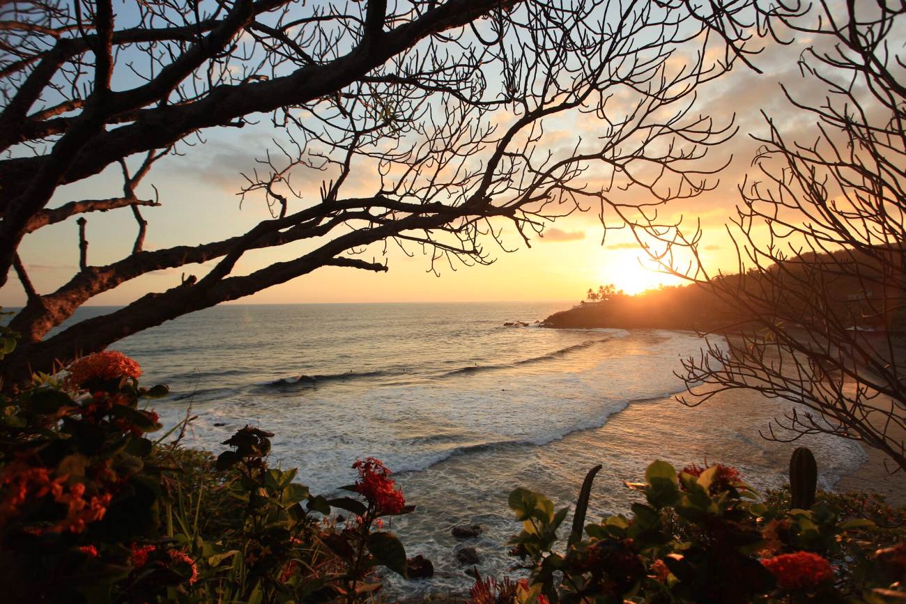 Sunset over a curving Pacific bay framed by bare branches and red flowers
