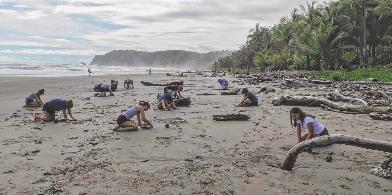 Students kneeling across a wide driftwood-strewn beach, working in the sand below a forested headland