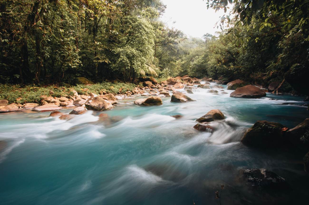 A turquoise river rushing over boulders through dense green forest