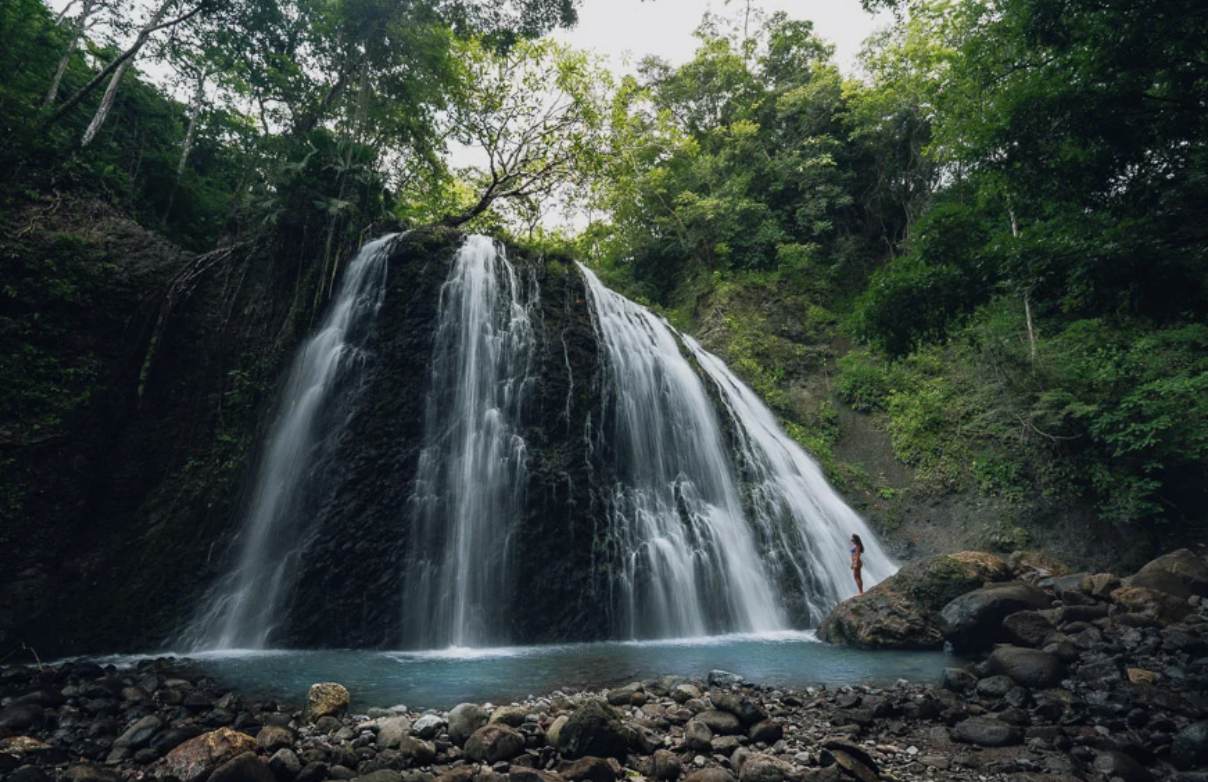 A wide waterfall pouring over dark rock into a pool in dense rainforest