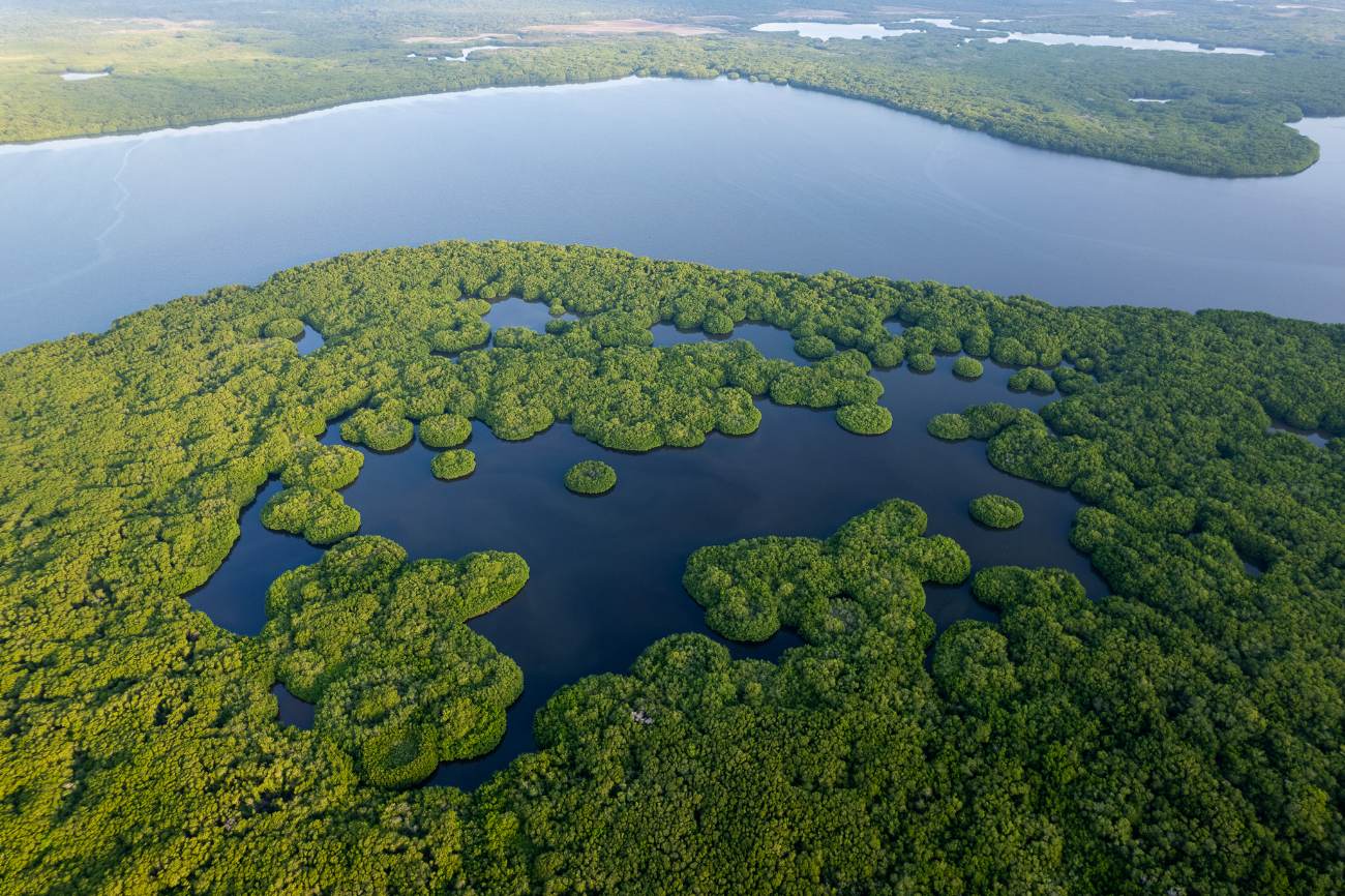 Aerial view of mangrove islands ringing a dark lagoon beside a wide bay