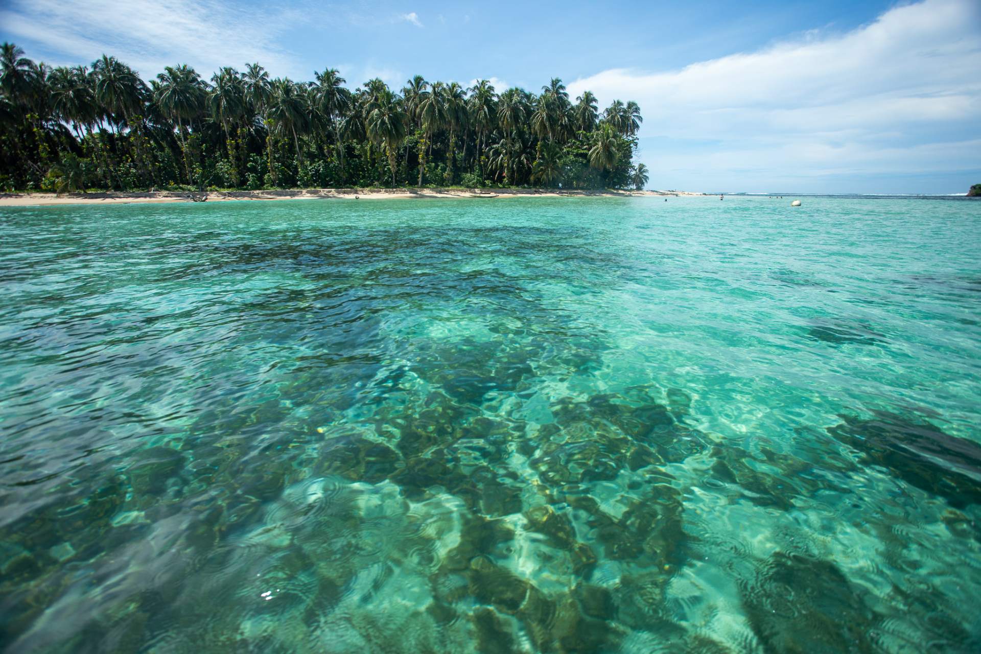 Coral heads visible through clear green water in front of a palm-lined island