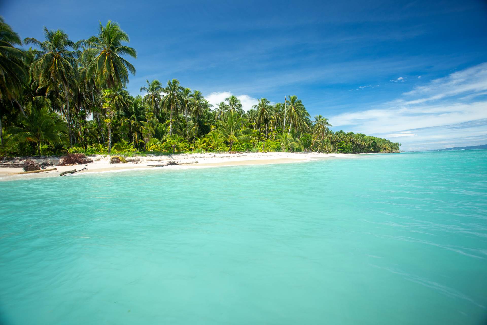 A remote white sand beach and palm forest above clear turquoise water