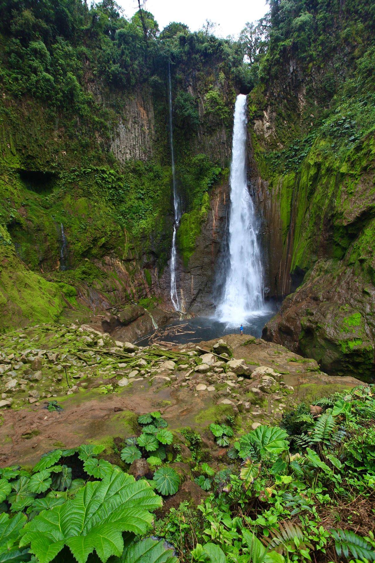A tall waterfall dropping into a mossy volcanic canyon at Bajos del Toro