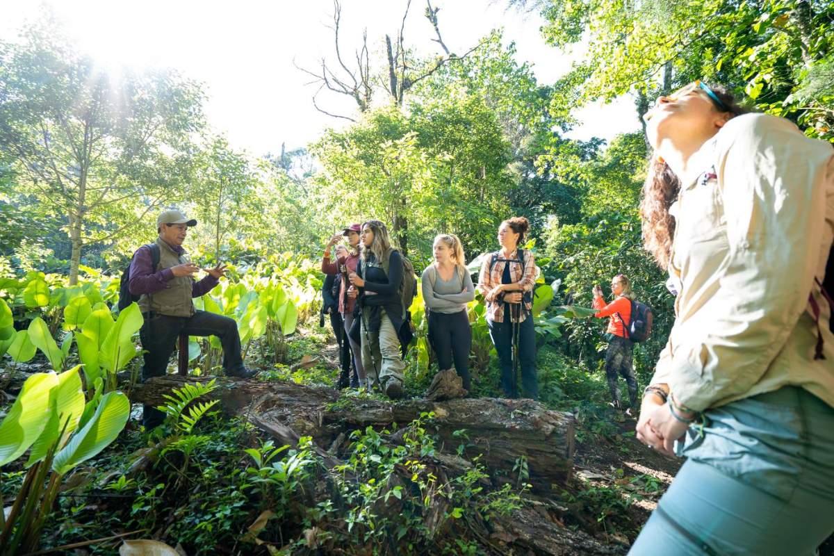 A local guide speaks to a group of students gathered in the forest