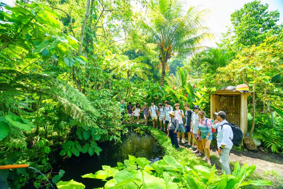 Students walking single file along a trail through dense green forest