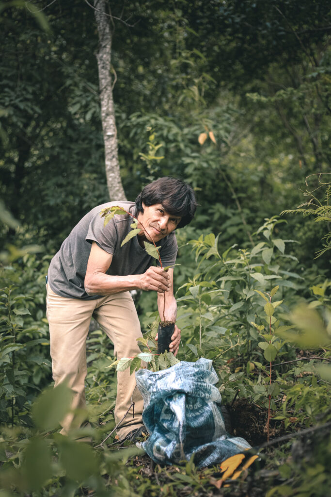 Guatemala Reforestation Program