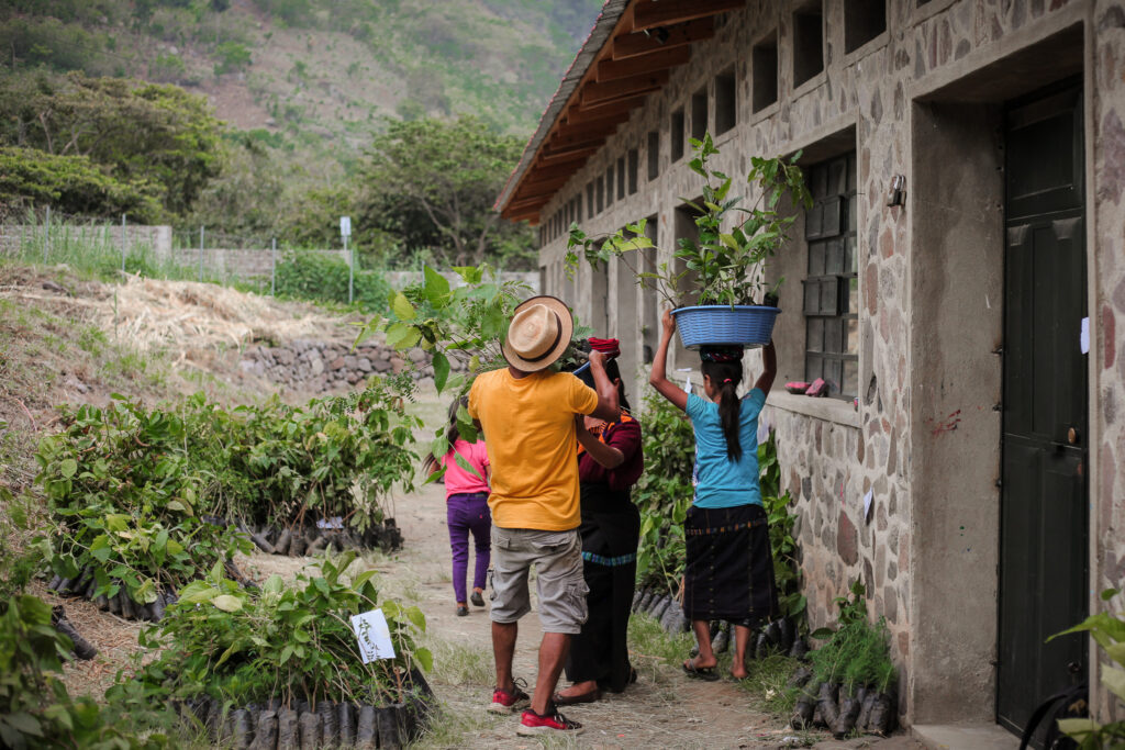 Guatemala Reforestation Program