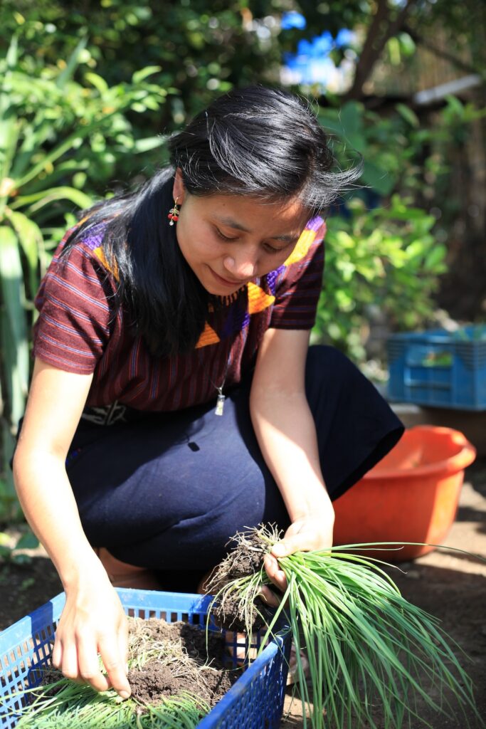 Reforestation in Guatemala