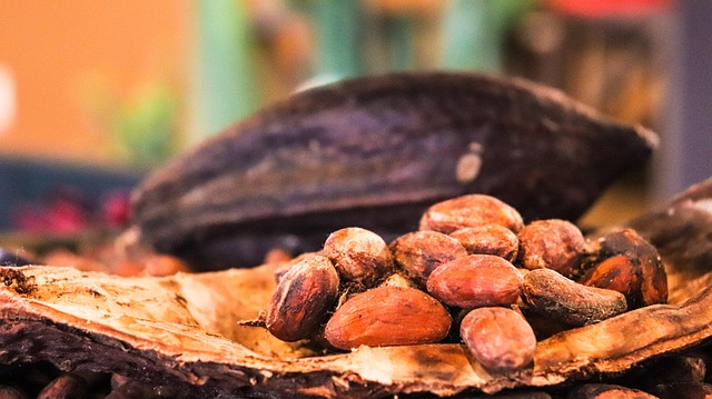 Cacao, chocolate, and closing synthesis