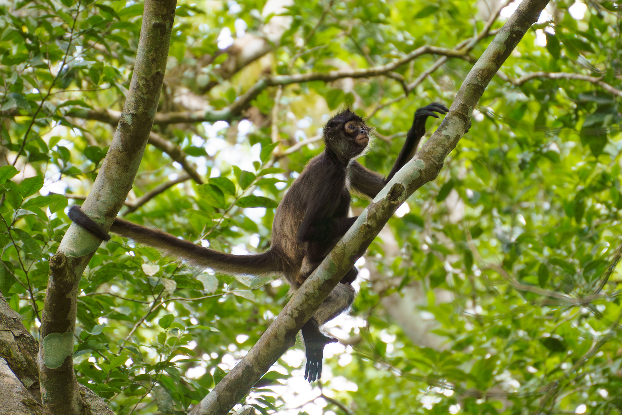 Is Belize Safe? A Place-by-Place Guide for Travelers