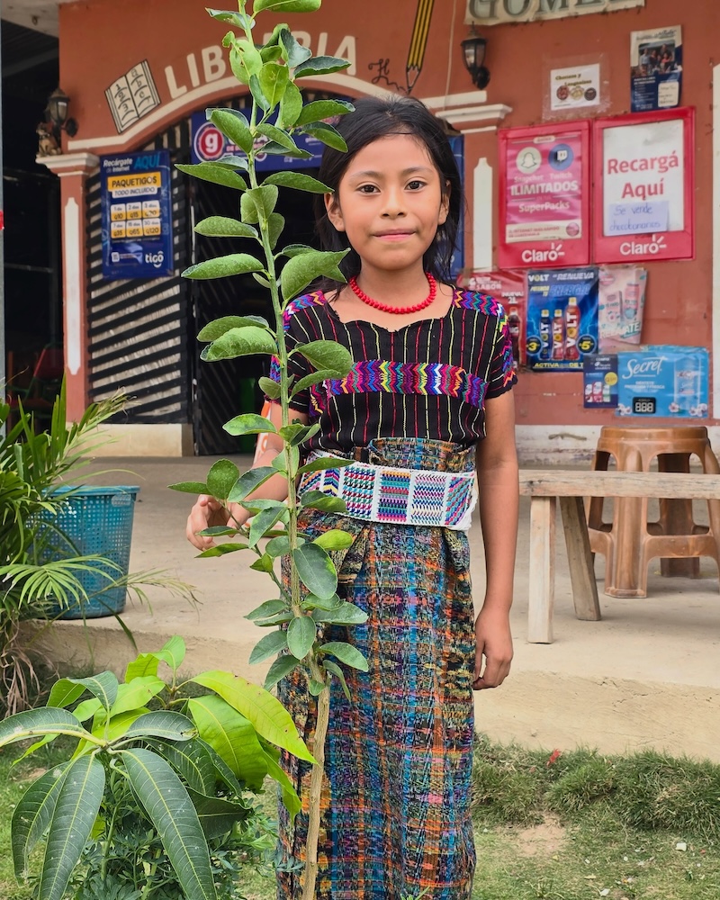 Service Learning in Guatemala: Inside Voces y Manos’ School Gardens and Youth Jobs Program