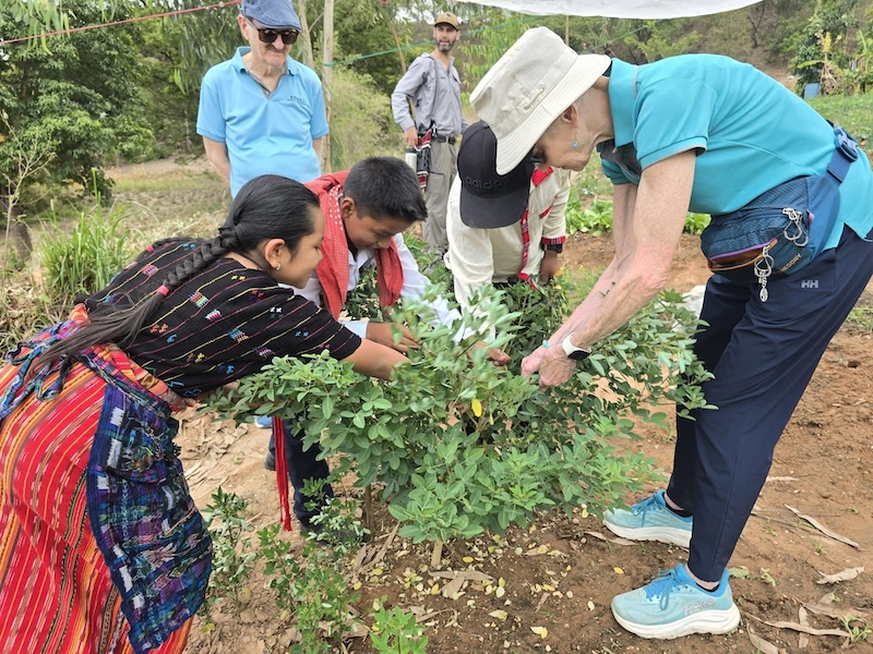 Students working in a school garden as part of a service learning program in Guatemala