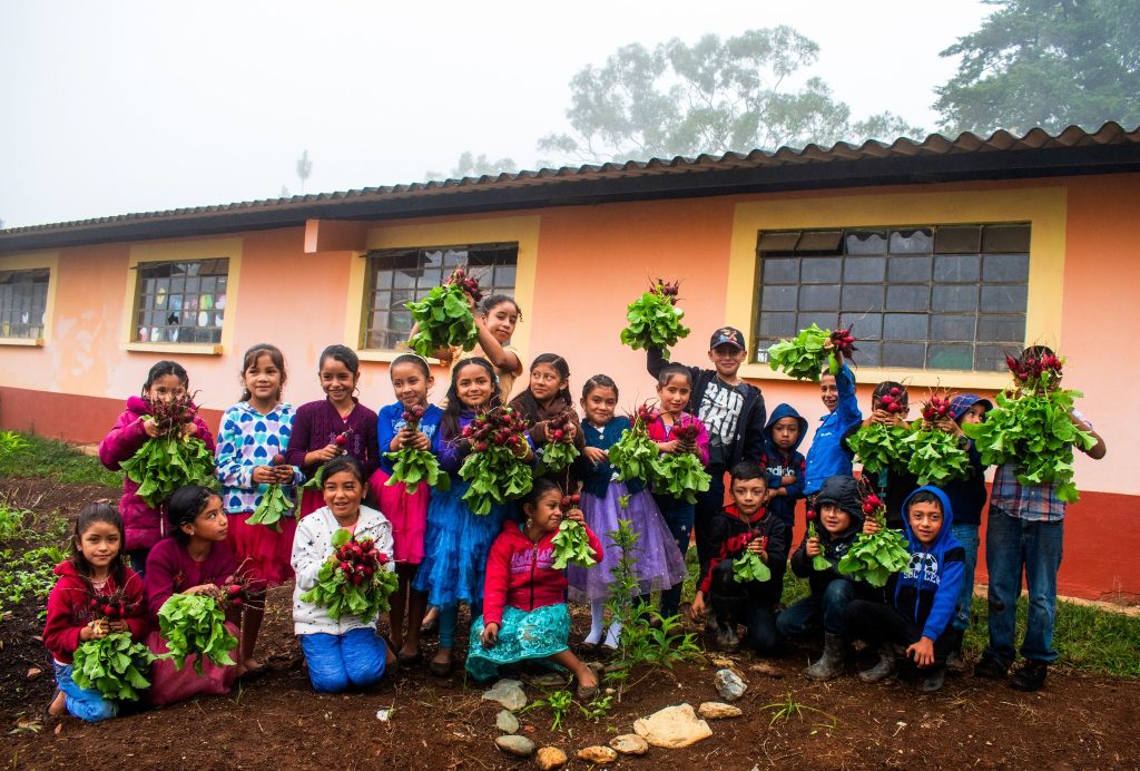 Voces y Manos: agroecology, food security, and historical memory in the Achí highlands