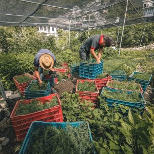 Copia de Copia de PXL_20240628_092526265.PORTRAIT.ORIGINAL