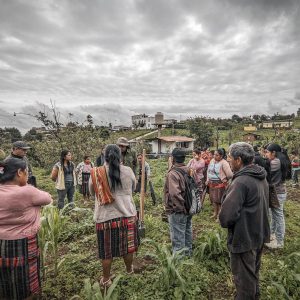 PXL_20250708_105157969